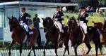 Конный спорт в программе олимпийских игр Является ли конный спорт олимпийским видом спорта
